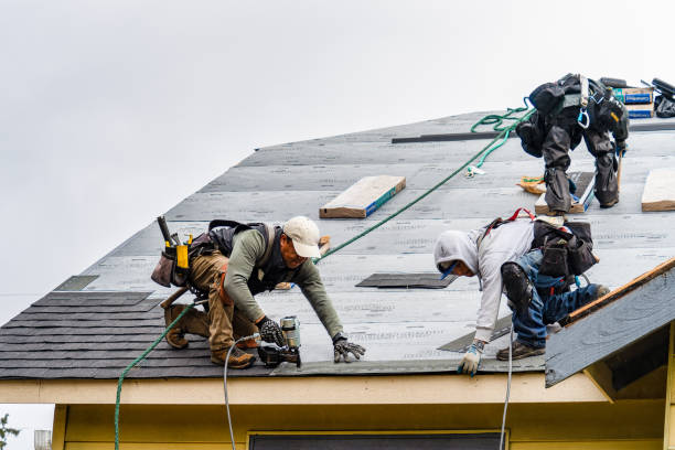 Professional Gutter Installation technician working in Medford, MN
